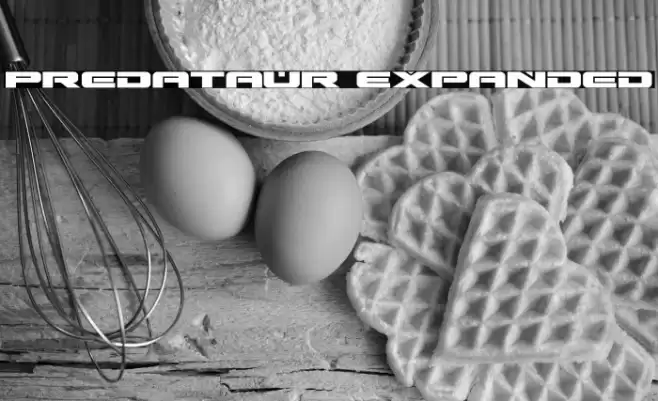 Predataur Expanded Font examples