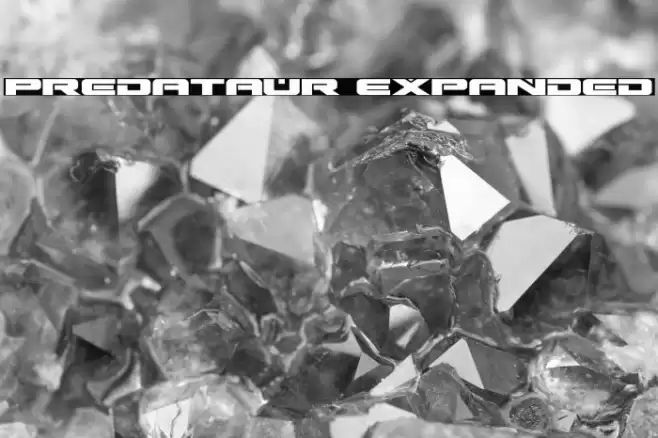 Predataur Expanded Font examples