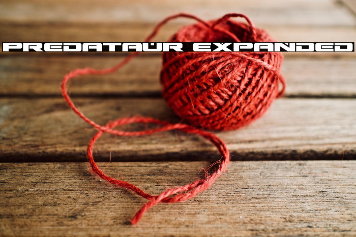 Predataur Expanded Example 3