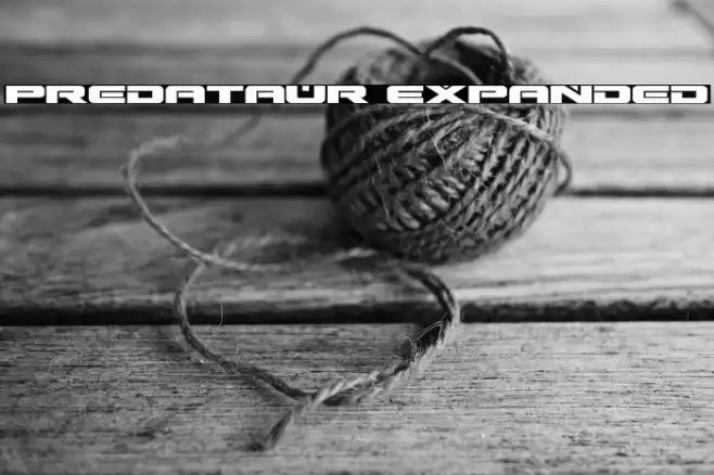 Predataur Expanded Font examples