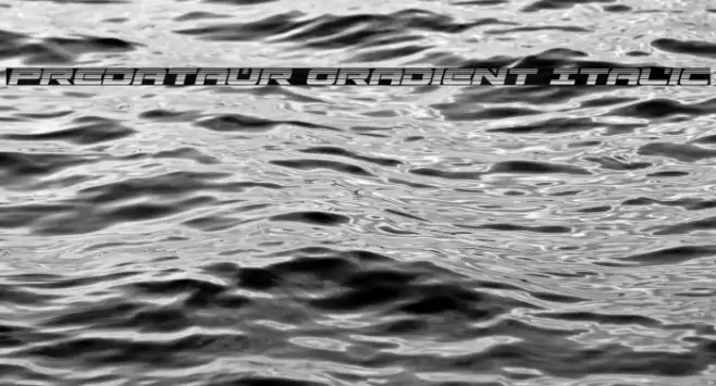 Predataur Gradient Italic Font examples