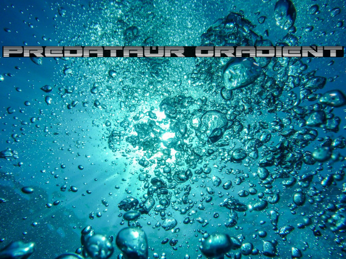 Predataur Gradient Example 1