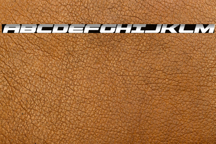 Predataur Halftone Italic Example 2