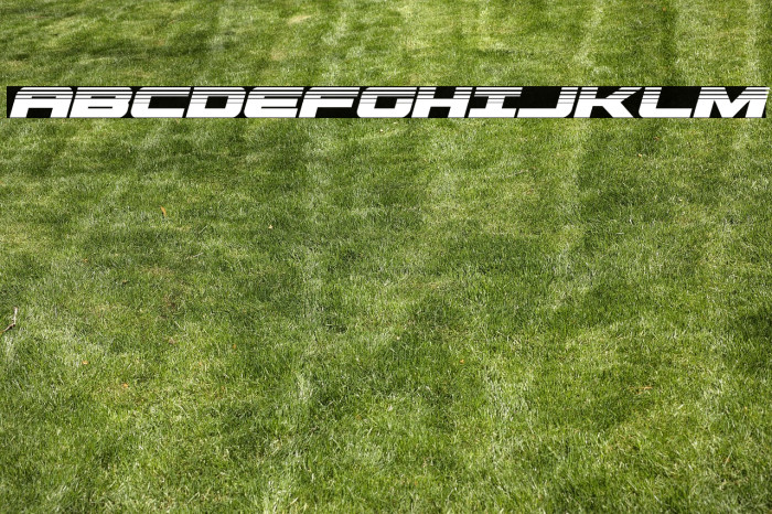 Predataur Halftone Italic Example 3