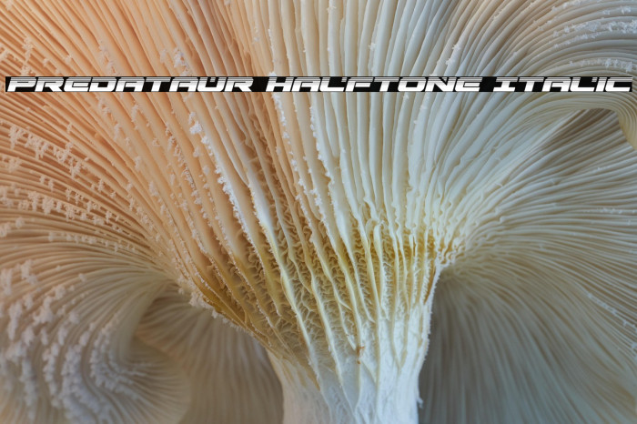 Predataur Halftone Italic Example 1
