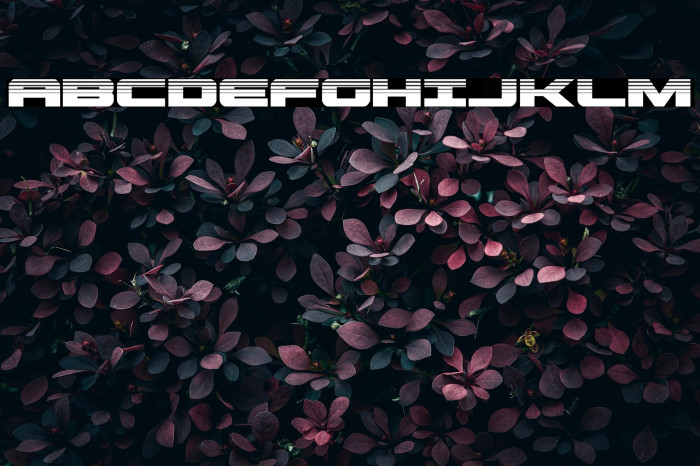 Predataur Halftone Example 2