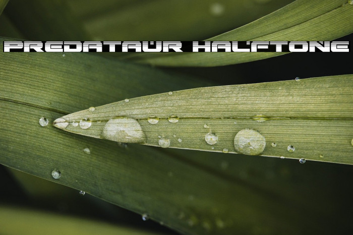 Predataur Halftone Example 2