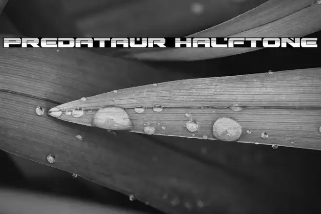 Predataur Halftone Font examples