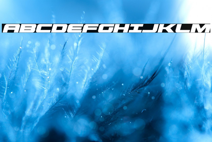 Predataur Italic Example 1