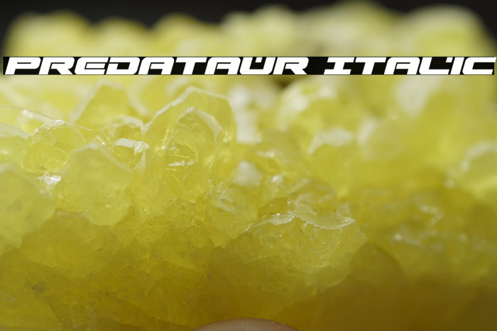 Predataur Italic Example 1