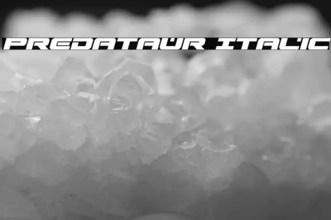 Predataur Italic Font examples