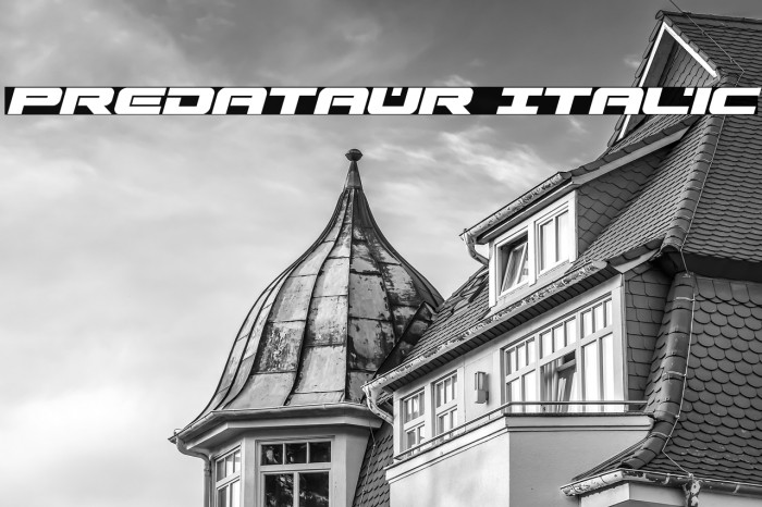 Predataur Italic Example 3