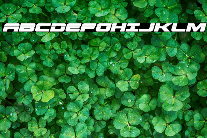 Predataur Laser Italic Example 1