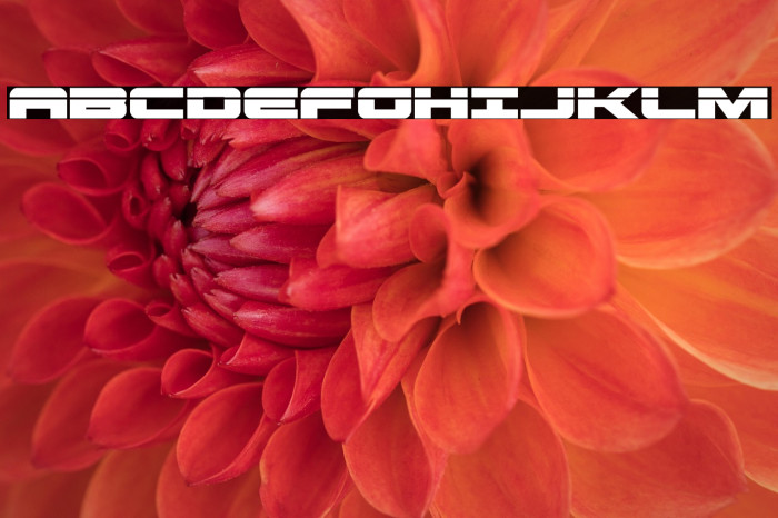 Predataur Laser Example 1