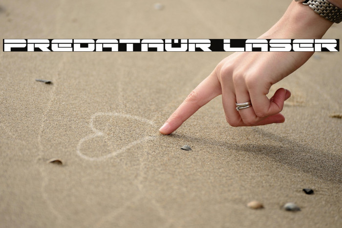 Predataur Laser Example 2