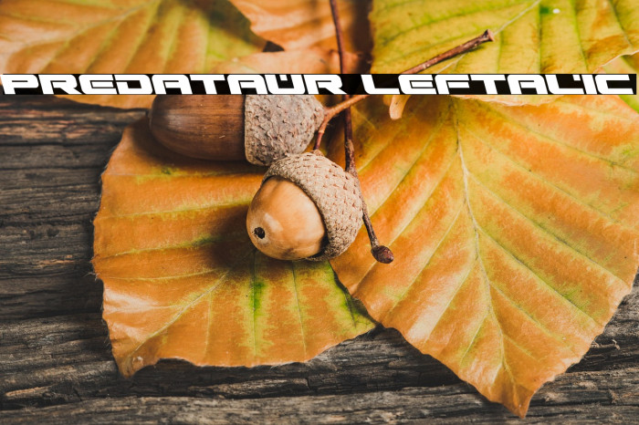 Predataur Leftalic Example 2