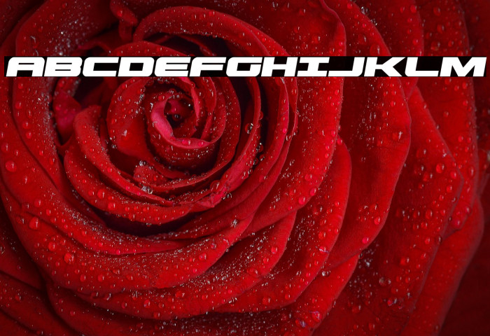 Predataur Semi-Italic Example 1