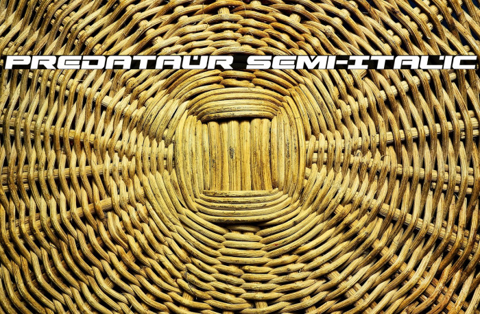 Predataur Semi-Italic Example 1