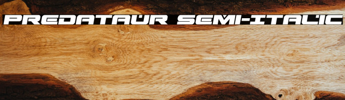 Predataur Semi-Italic Example 2