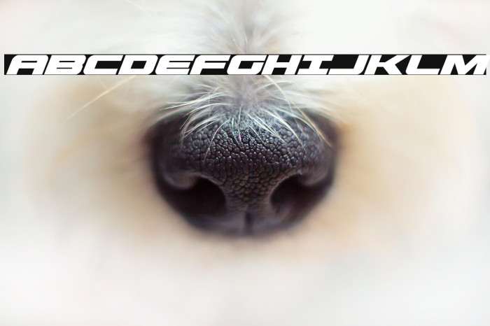 Predataur Super-Italic Example 1