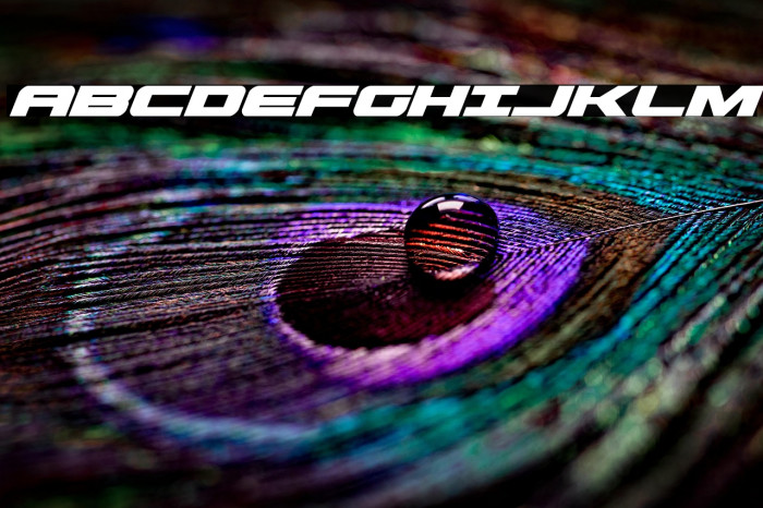 Predataur Super-Italic Example 2