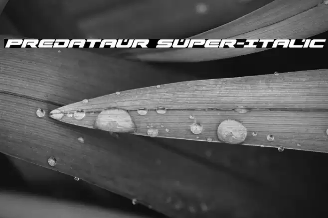 Predataur Super-Italic Font examples