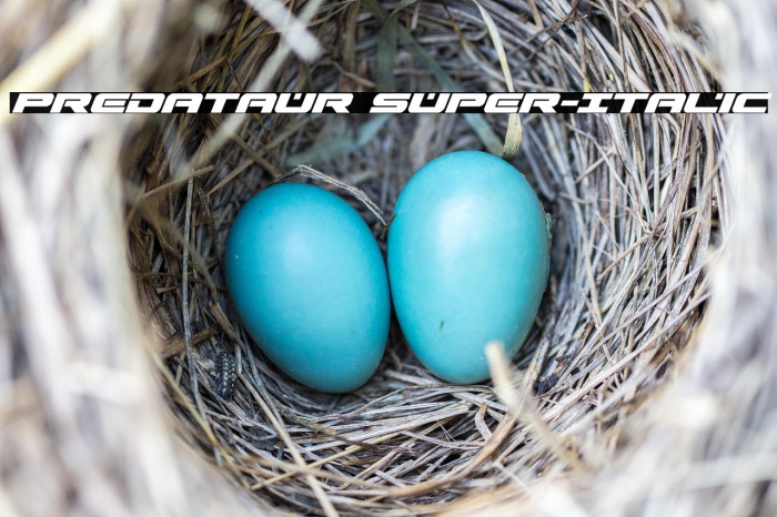 Predataur Super-Italic Example 3