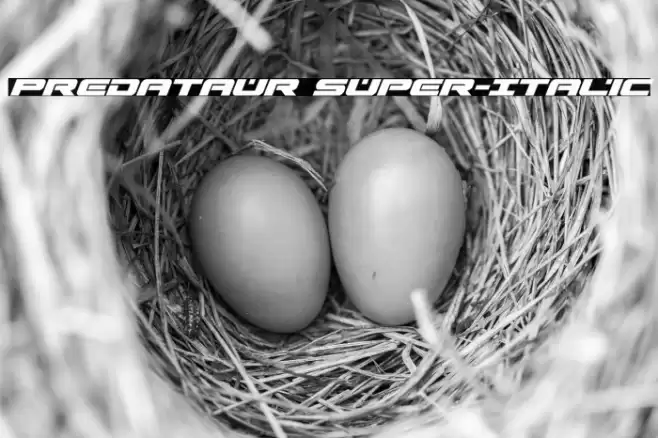 Predataur Super-Italic Font examples