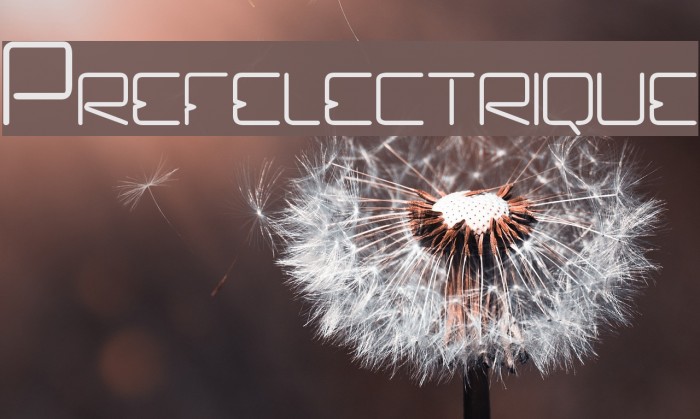 Prefelectrique Example 1