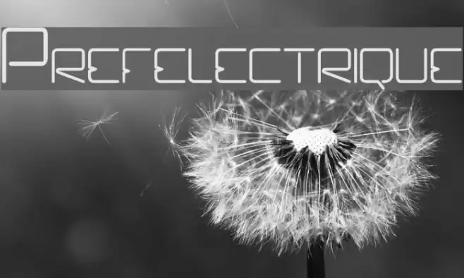 Prefelectrique Font examples