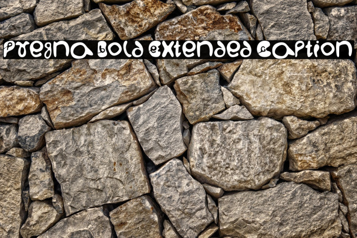Pregna Bold Extended Caption Example 1