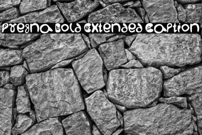 Pregna Bold Extended Caption Шрифта examples