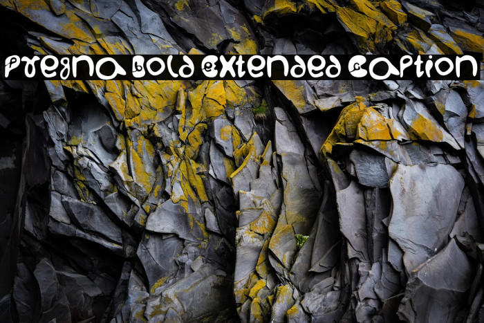 Pregna Bold Extended Caption Example 2