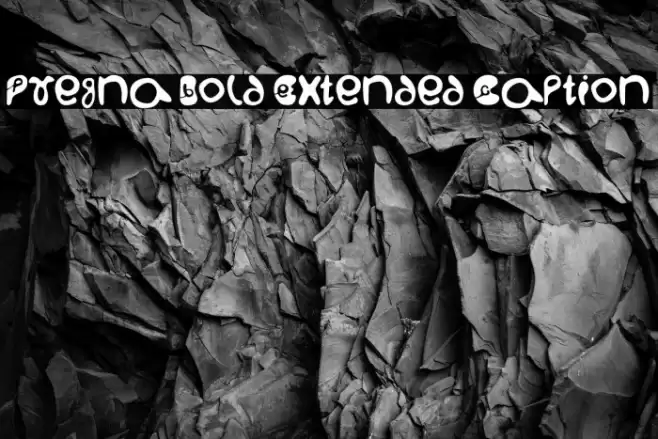 Pregna Bold Extended Caption Шрифта examples