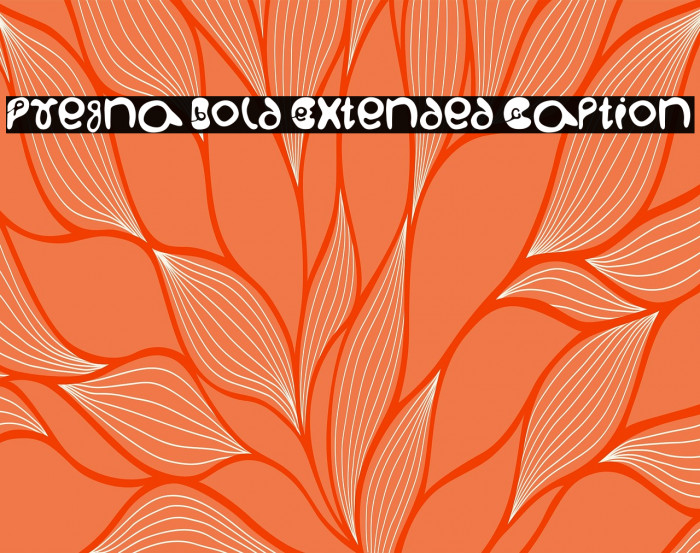 Pregna Bold Extended Caption Example 3