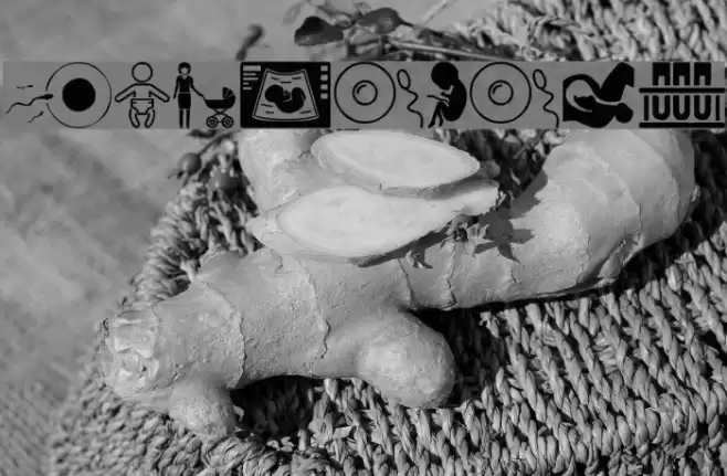 Pregnancy Font examples