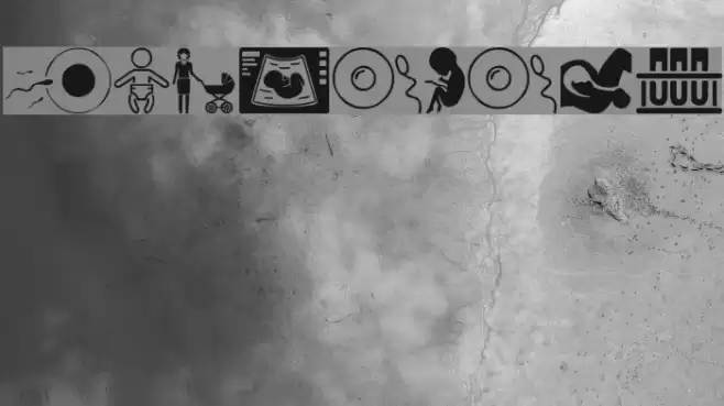 Pregnancy Font examples