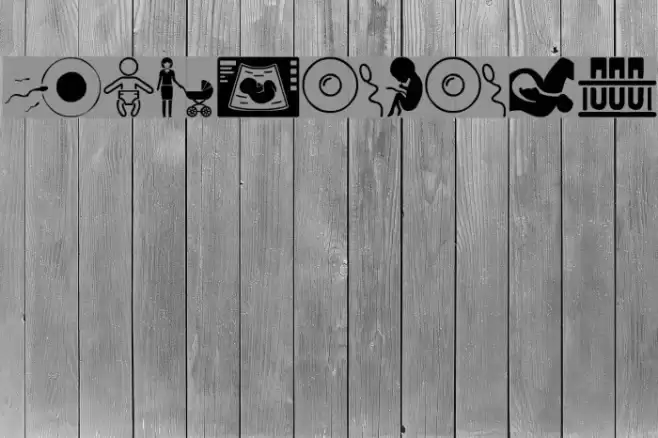 Pregnancy Font examples
