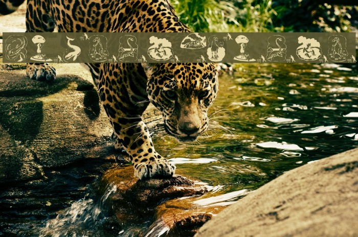 Prehistorish Example 1