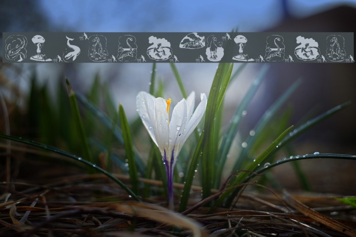 Prehistorish Example 3