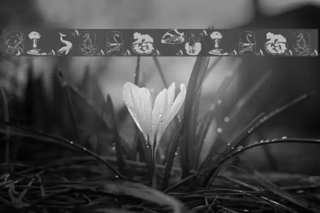 Prehistorish Font examples