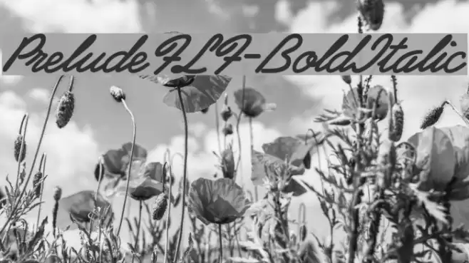PreludeFLF-BoldItalic Font examples