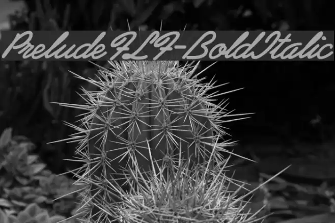 PreludeFLF-BoldItalic Font examples
