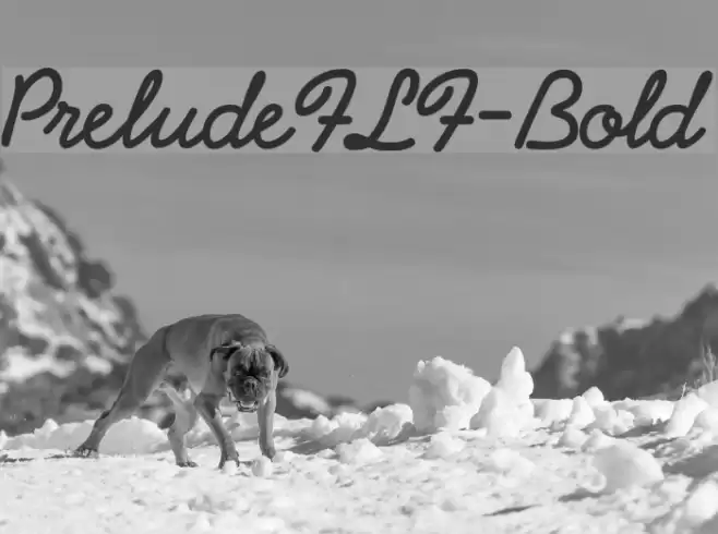 PreludeFLF-Bold Font examples