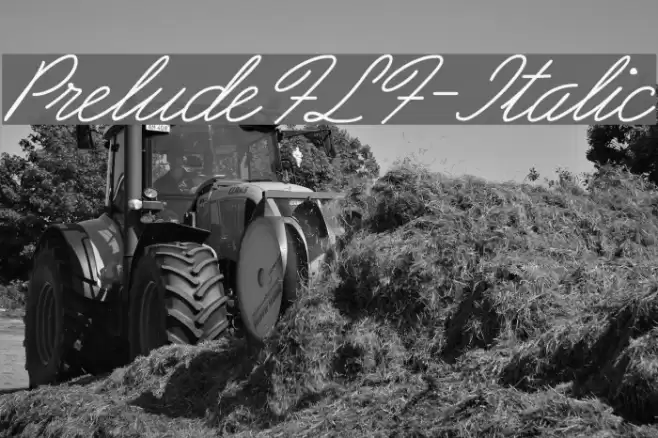 PreludeFLF-Italic Font examples