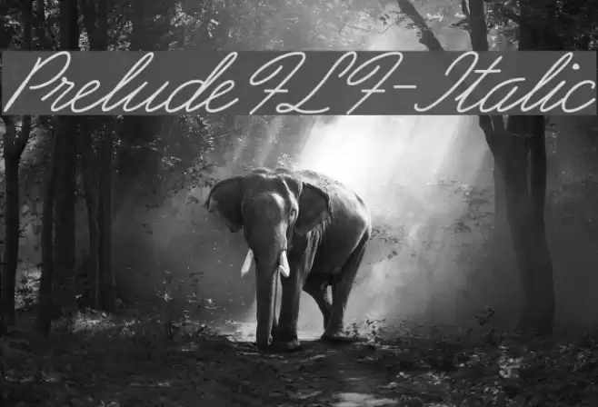 PreludeFLF-Italic Font examples