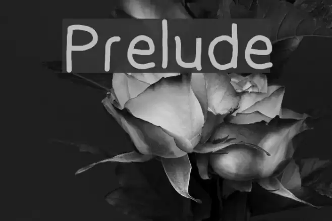 Prelude Font examples