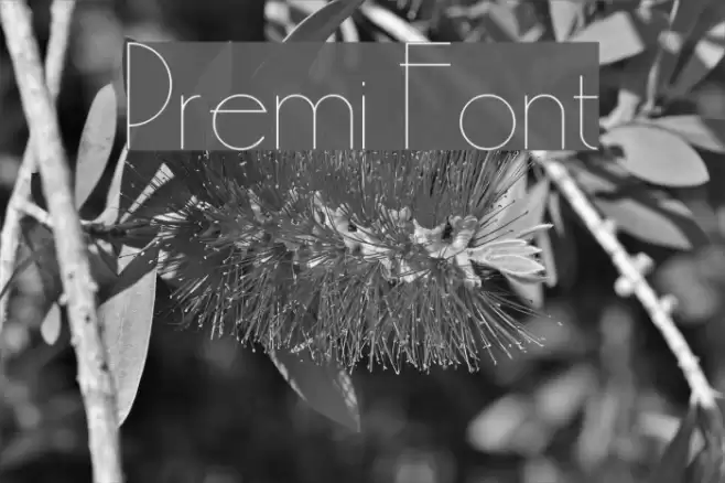 Premi Font examples