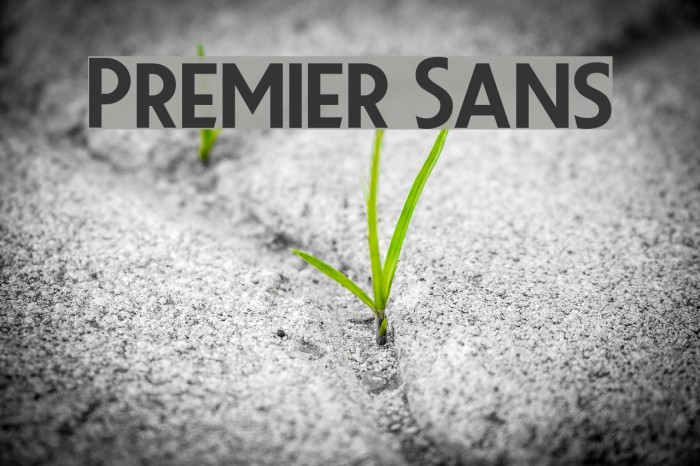 Premier Sans Font examples
