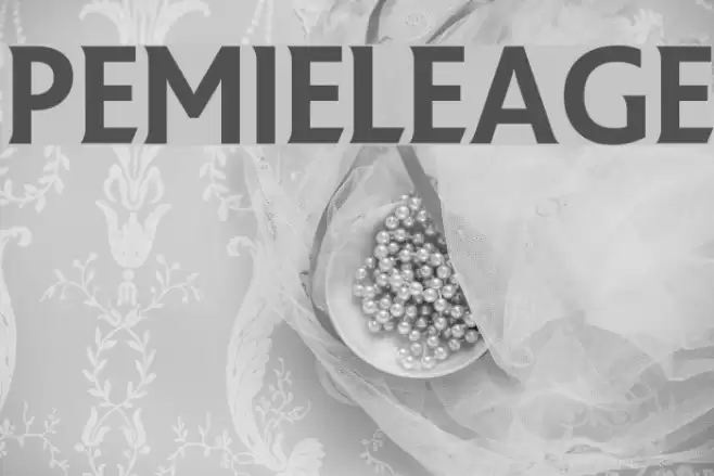 PremierLeague Font examples